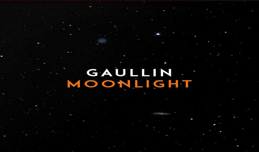 Πρόκειται για ένα νεαρό αλλά ιδιαίτερα ταλαντούχο, μουσικό  παραγωγό  από τη Λιθουανία  με το όνομα GAULLIN. Το κομμάτι ονομάζεται  “Moonlight”.